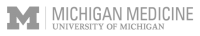 Michigan Logo