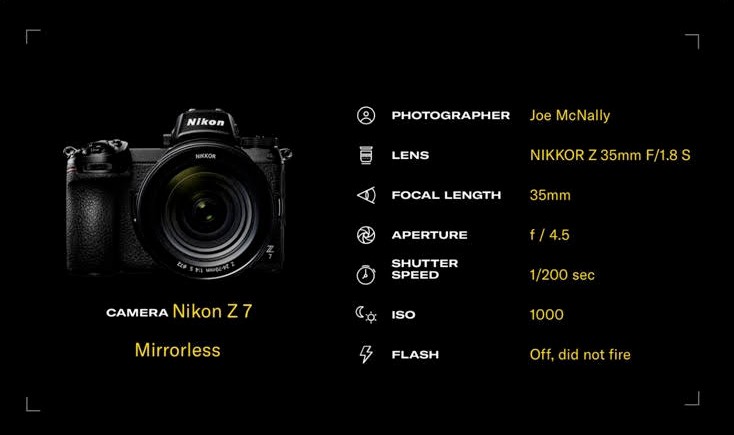 Nikon_Itch