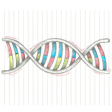 Creative DNA