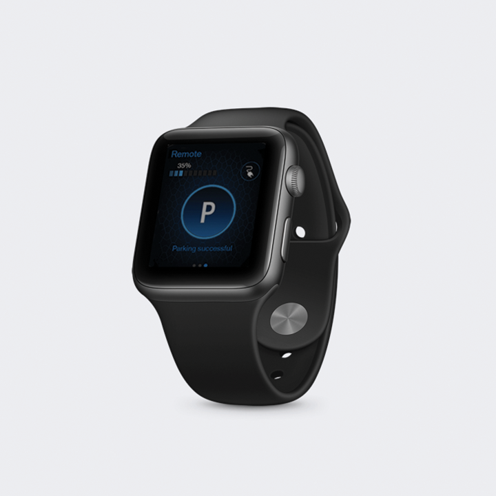 BMW Smartwatch App